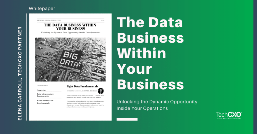 Data-Business-Within-Your-Business-eBook-Preview