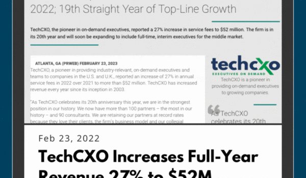 techcxo-2023-revenue