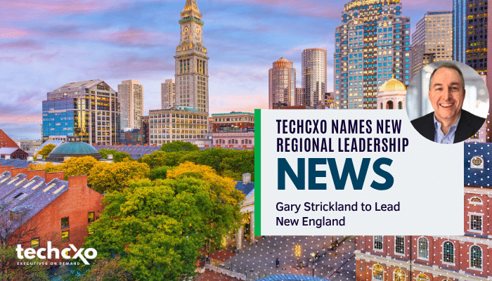 TechCXO Press Release Banner - Gary Strickland (700 × 400 px)